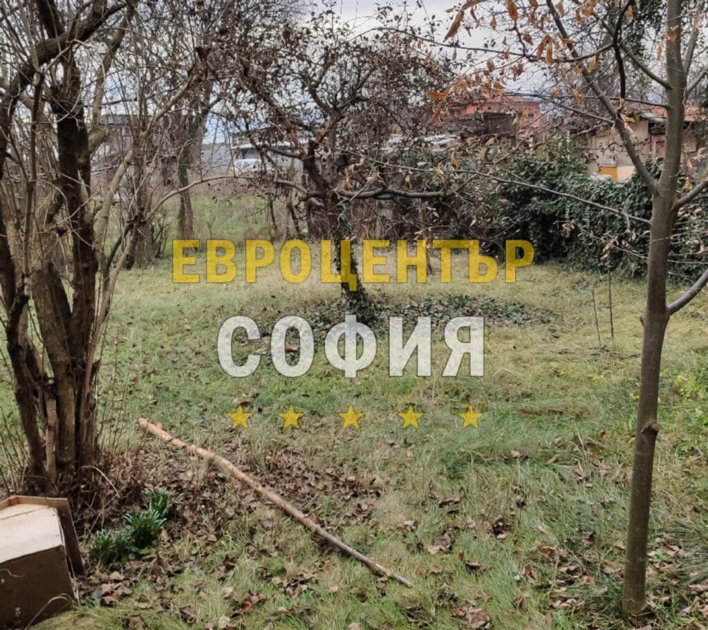 Събиране на клони и разчистване