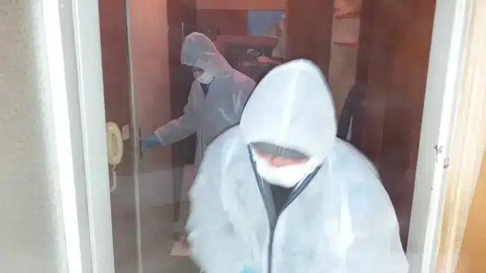 Лесни решения за почистване след кучета!