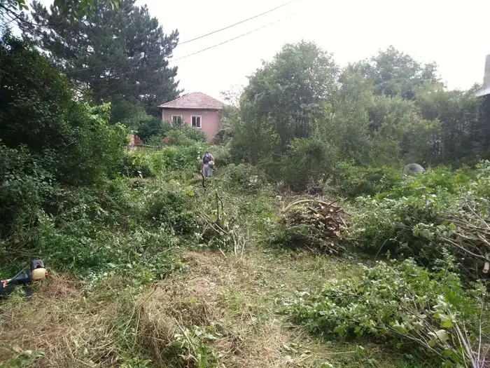 Съвети за перфектната зелена морава